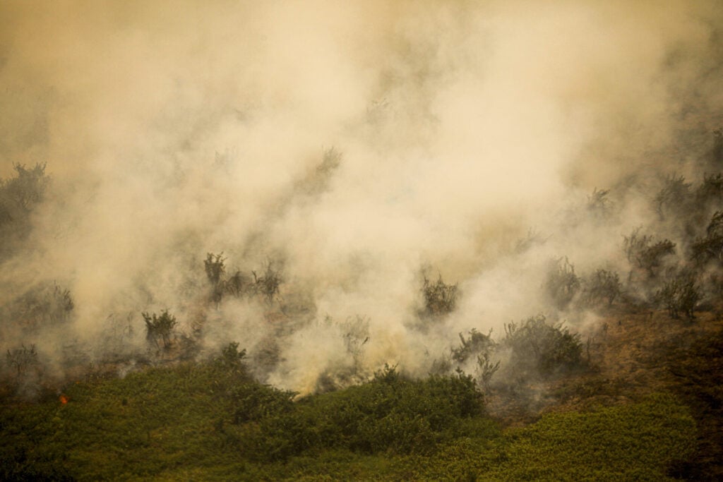 Incêndio florestal que atige o Pantanal. Foto: Joédson Alves/Agência Brasil