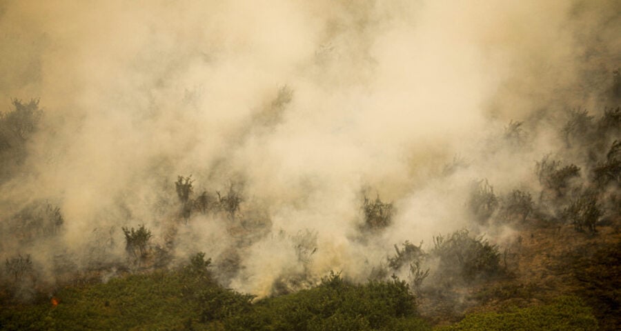 Incêndio florestal que atige o Pantanal. Foto: Joédson Alves/Agência Brasil