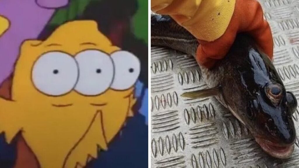 O peixe de três olhos apareceu em "Os Simpsons" - Foto: Reprodução/Redes Sociais