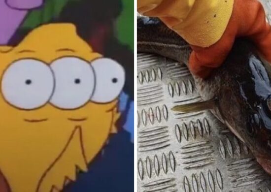 O peixe de três olhos apareceu em "Os Simpsons" - Foto: Reprodução/Redes Sociais