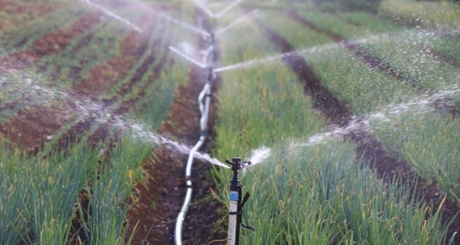 Plano Clima: cidadão poderá ajudar na garantia da segurança alimentar.