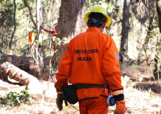 Os incêndios florestais quase quadruplicaram no primeiro semestre deste ano.