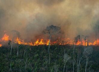 Amazonia-incendio