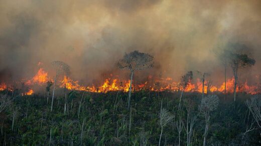 Amazonia-incendio