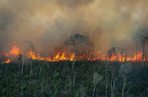 Amazonia-incendio