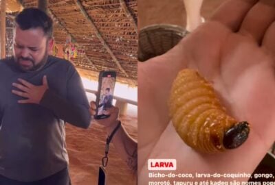Michel-larva