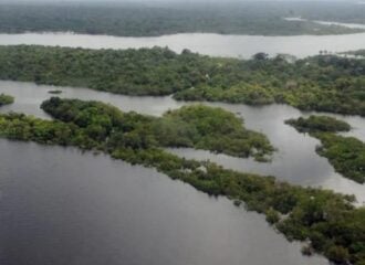 Fundo Amazônia recebe doação da UE