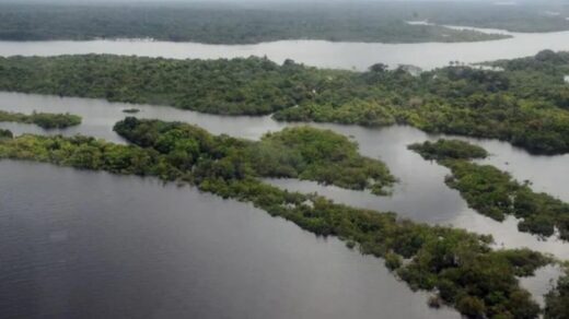 Fundo Amazônia recebe doação da UE