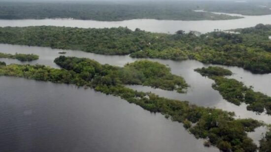 Fundo Amazônia recebe doação da UE