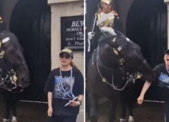Turista leva baita mordida de cavalo da realeza britânica
