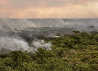 Governo federal atualiza situação dos incêndios no Pantanal