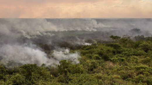 Governo federal atualiza situação dos incêndios no Pantanal