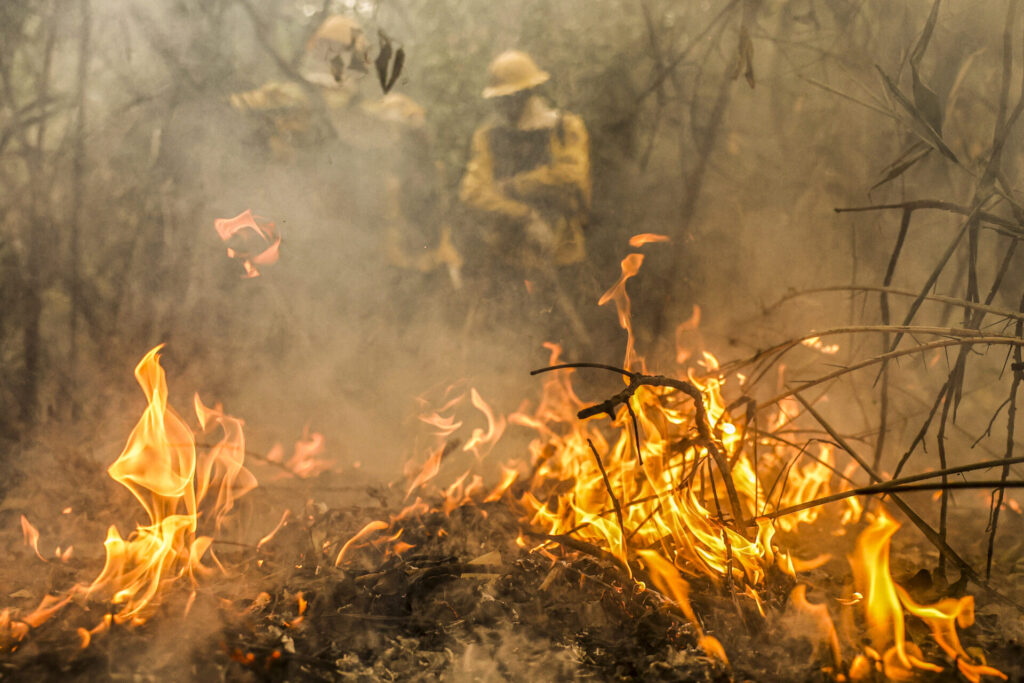 Política Nacional para redução de incêndios segue para sanção presidencial