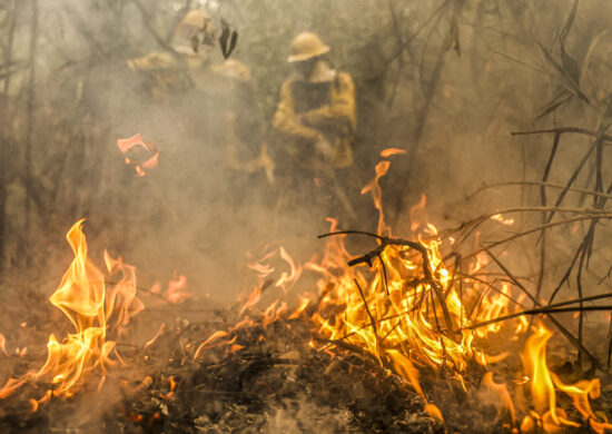 Política Nacional para redução de incêndios segue para sanção presidencial