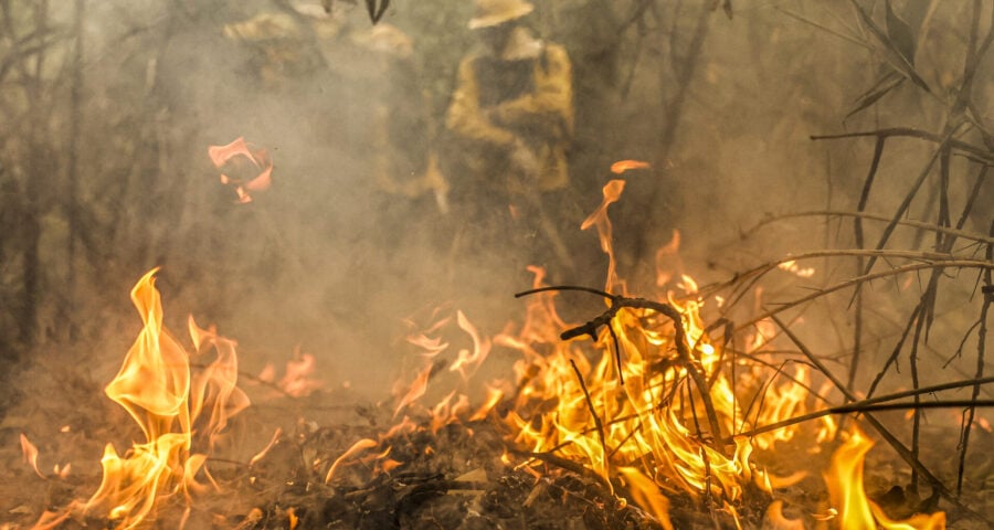 Política Nacional para redução de incêndios segue para sanção presidencial