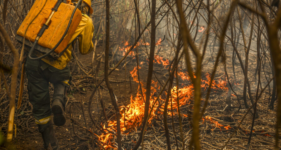 Equipe em combate aos incêndios no Pantanal. Foto: Marcelo Camargo/Agência Brasil