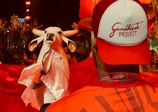 Ghandicats dança Boi Garantido no Festival de Joinville 2024 - Foto: Reprodução/Instagram/@gandhitabosa