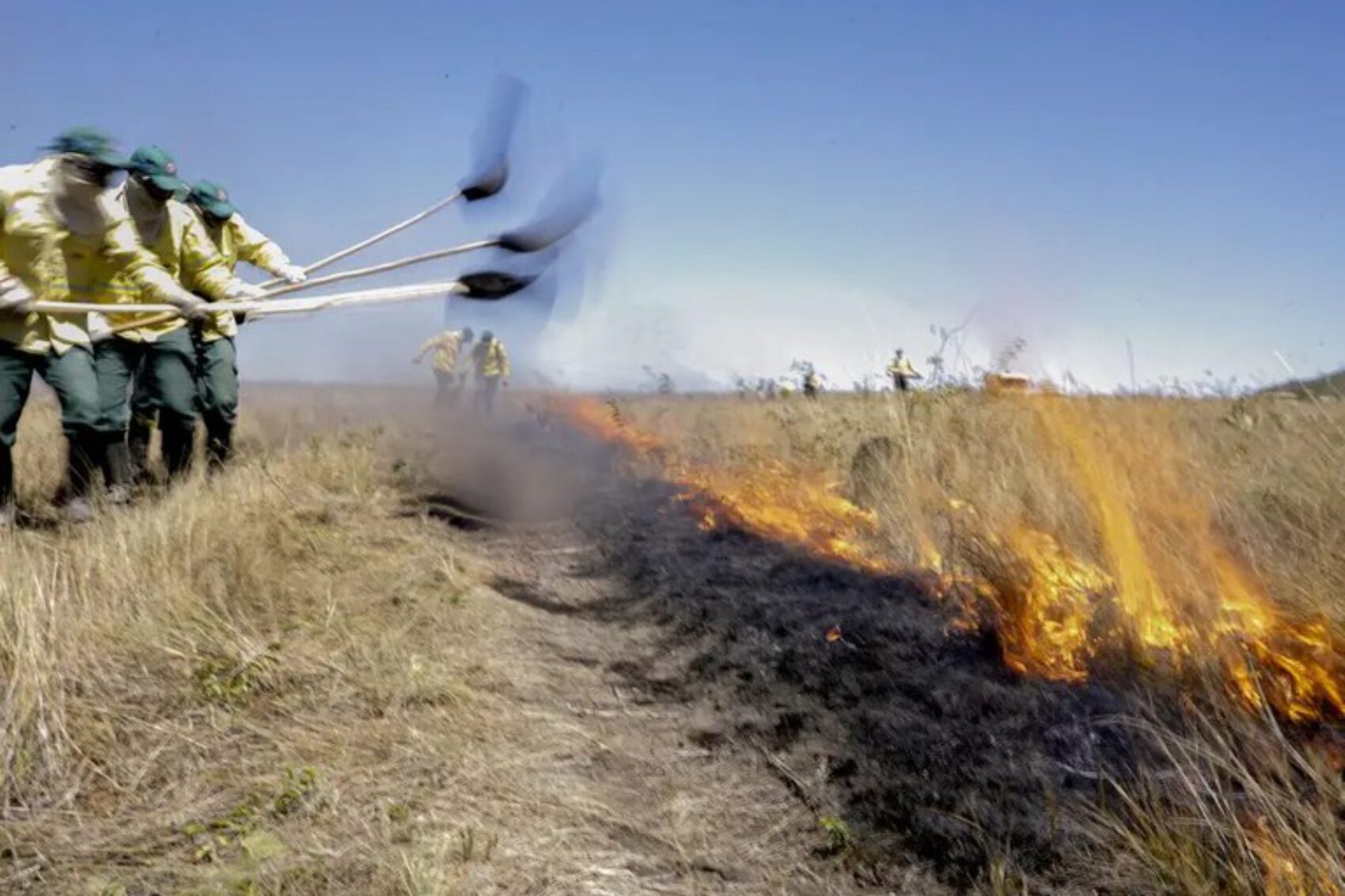 Brigadas temporárias vão atuar com combate e prevenção de incêndios florestais. Foto: Joédson Alves / Agência Brasil