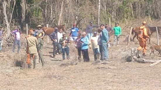 Durante os dias de buscas, as equipes contaram com a ajuda de cães farejadores, drones, policiais militares e até de um helicóptero - Foto: Divulgação/PMTO