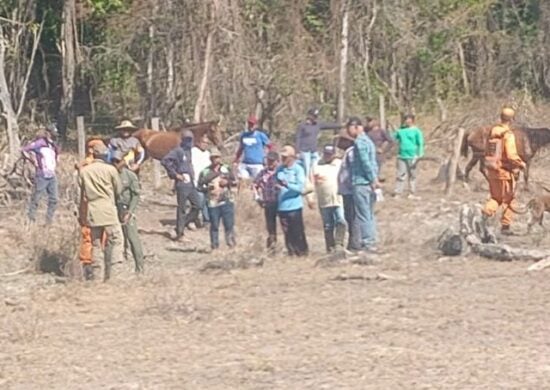 Durante os dias de buscas, as equipes contaram com a ajuda de cães farejadores, drones, policiais militares e até de um helicóptero - Foto: Divulgação/PMTO