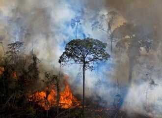 queimadas amazonas-capa