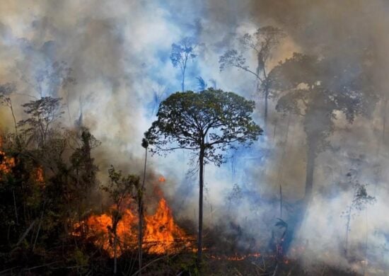 queimadas amazonas-capa