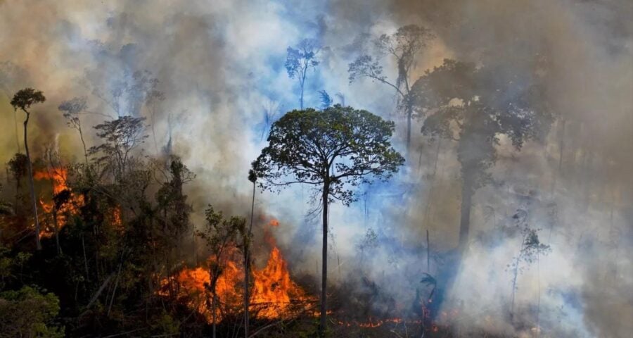 queimadas amazonas-capa