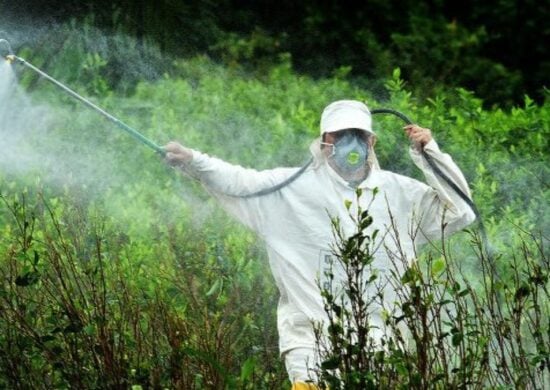 Estudo relaciona herbicida com mortalidade infantil - Foto: Reprodução