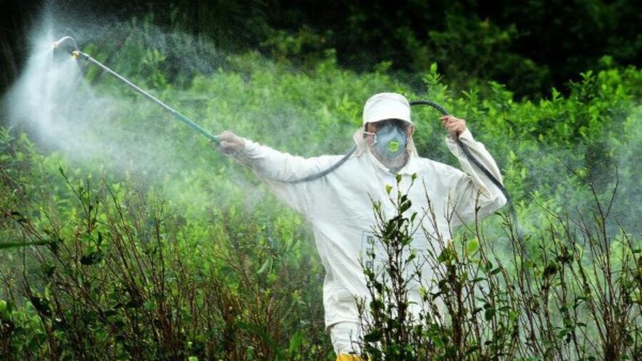 Estudo relaciona herbicida com mortalidade infantil - Foto: Reprodução