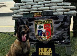 Cadela faz parte da equipe de operação da Polícia Militar do Amazonas - Foto: Divulgação/PMAM