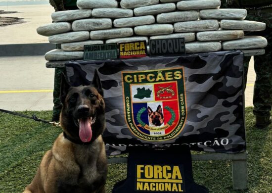 Cadela faz parte da equipe de operação da Polícia Militar do Amazonas - Foto: Divulgação/PMAM