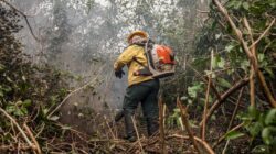 Amazônia e Pantanal sofrem com constantes incêndios - Foto: Marcelo Camargo/Agência Brasil