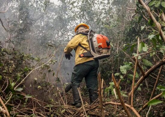 Amazônia e Pantanal sofrem com constantes incêndios - Foto: Marcelo Camargo/Agência Brasil