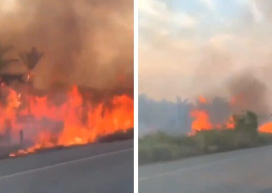 Pará também tem sido afetado pelos incêndios - Foto: Reprodução/X