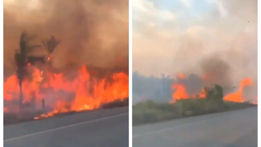 Pará também tem sido afetado pelos incêndios - Foto: Reprodução/X