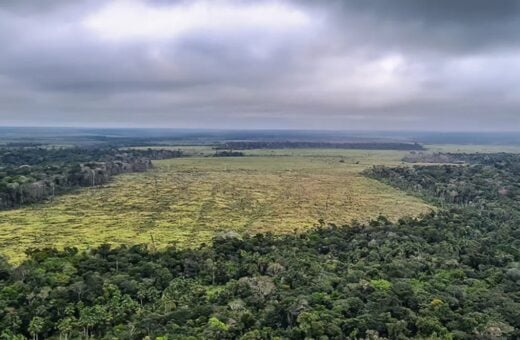 Desmatamento-Amazonia