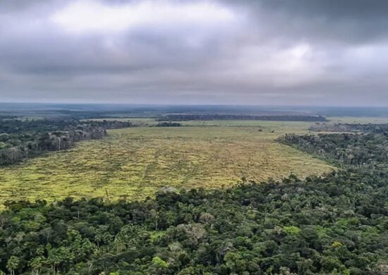 Desmatamento-Amazonia