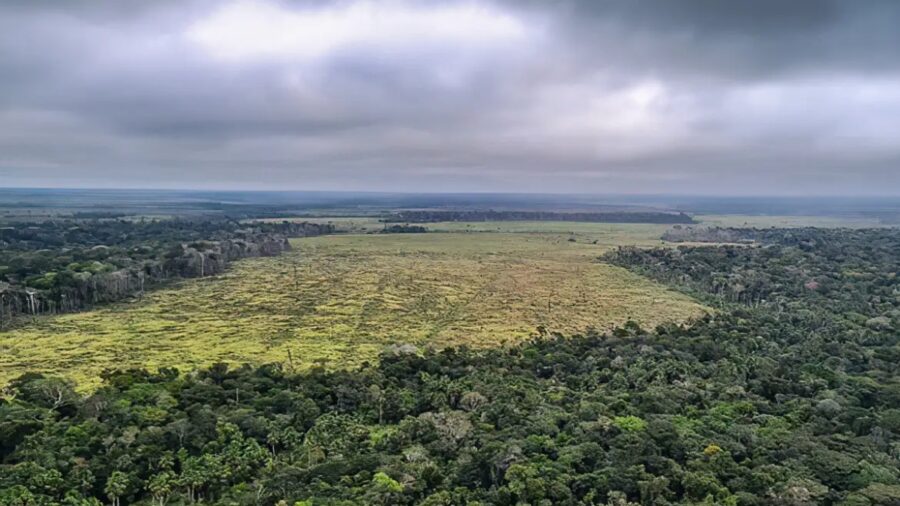 Desmatamento-Amazonia