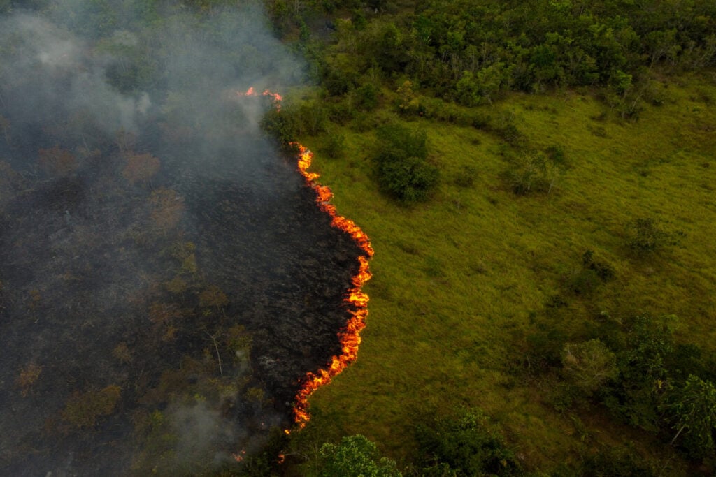 Queimadas na Amazônia