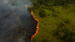 Queimadas na Amazônia