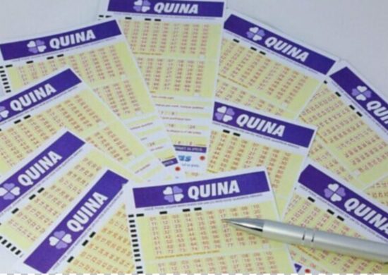 Como jogar na Quina? Veja o passo a passo da loteria