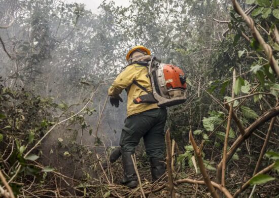 STF-incendios-Amazonia