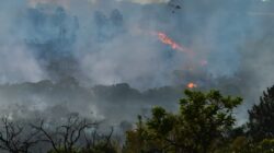 Amazonas é castigado pelas queimadas e estiagem.