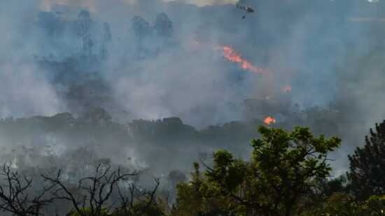 Amazonas é castigado pelas queimadas e estiagem.