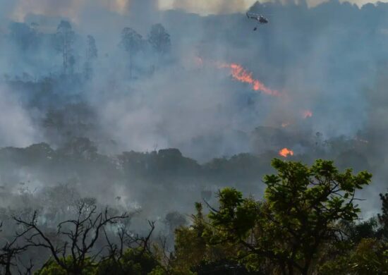 Amazonas é castigado pelas queimadas e estiagem.