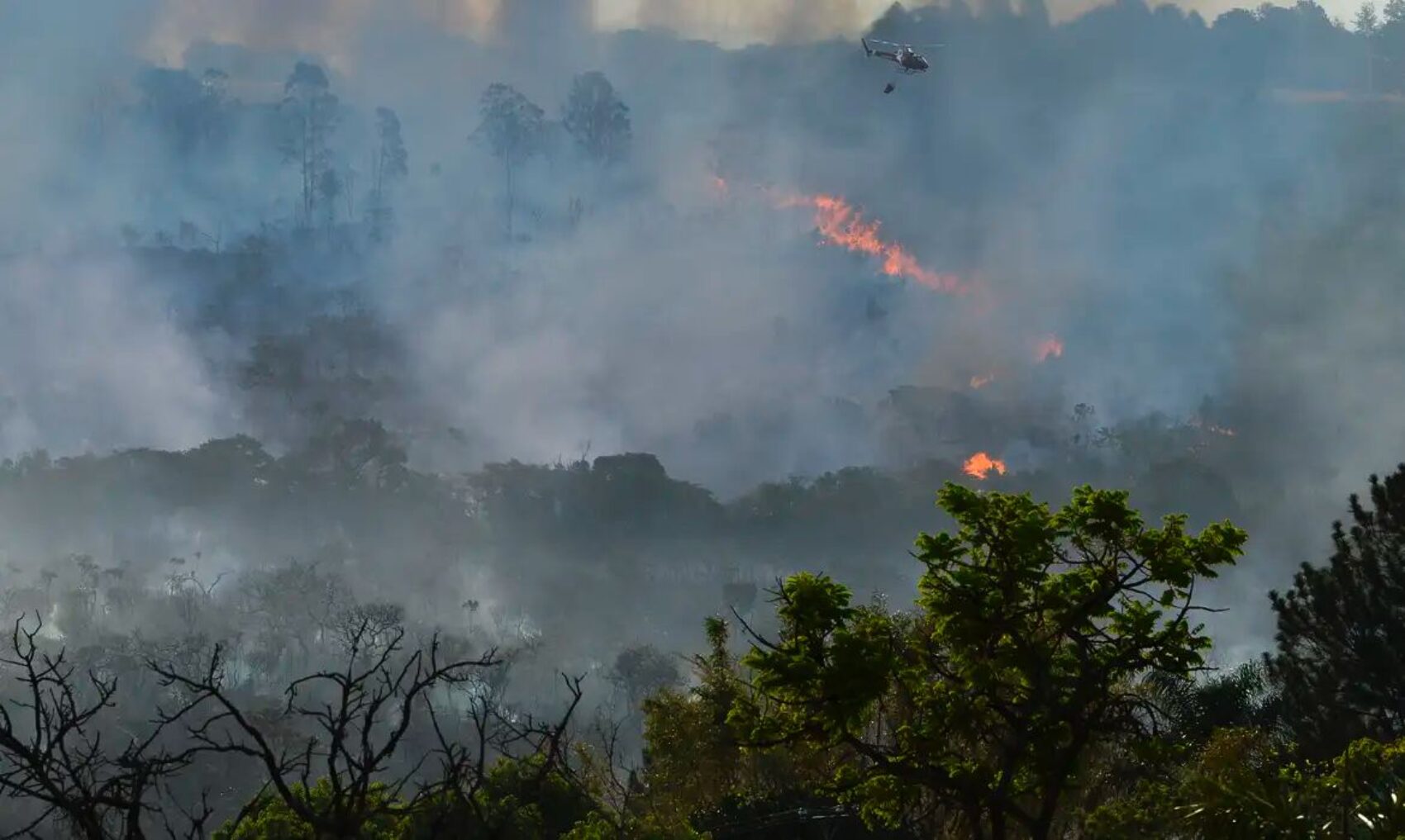 Amazonas é castigado pelas queimadas e estiagem.