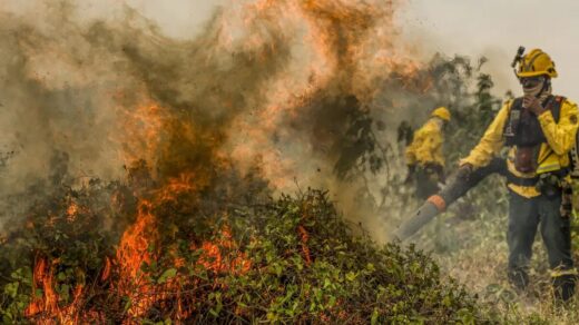 Pantanal: Chamas já consumiram 1,3mi de hectares e voltam a aumentar.