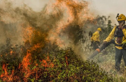 Pantanal: Chamas já consumiram 1,3mi de hectares e voltam a aumentar.