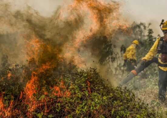 Pantanal: Chamas já consumiram 1,3mi de hectares e voltam a aumentar.