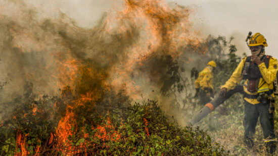 Incêndio afeta municípios no Amazonas - Foto: Marcelo Camargo/Agência Brasil